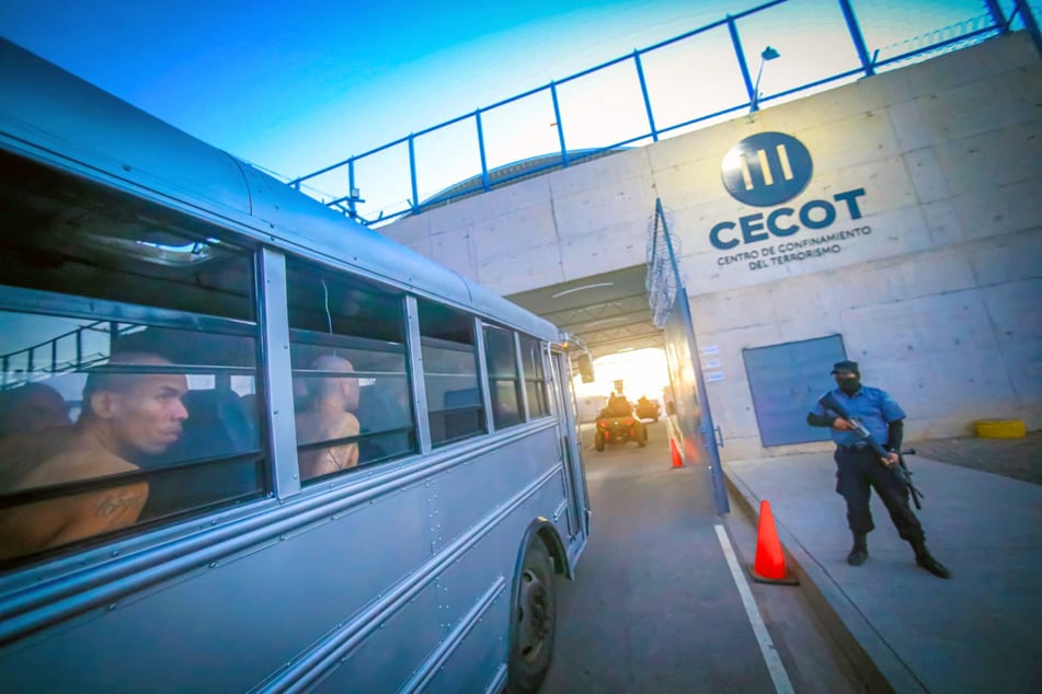 A group of men are suing aviation companies that deported them to El Salvador as part of President Donald Trump's immigration agenda.