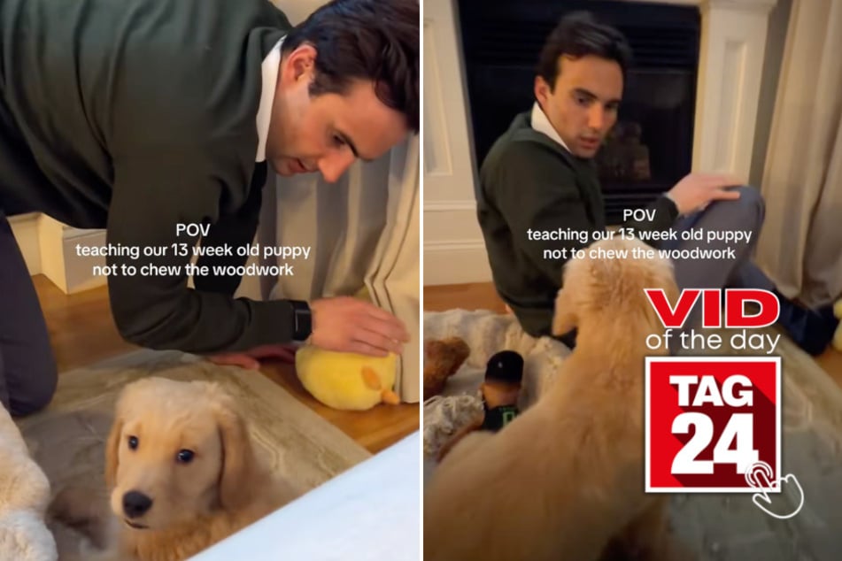 Viral Video of the Day for April 27, 2026: Man teaches puppy not to chew baseboard with this silly trick!