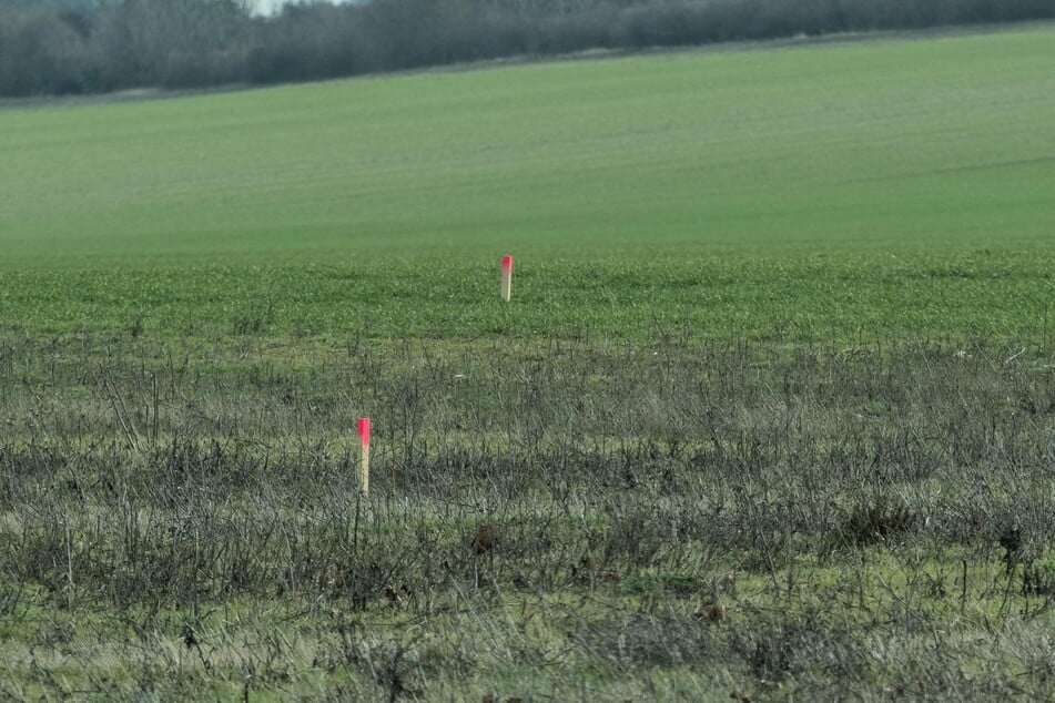 Rot markierte Pflöcke ragen aus dem Boden und deuten auf baldige Arbeiten hin.