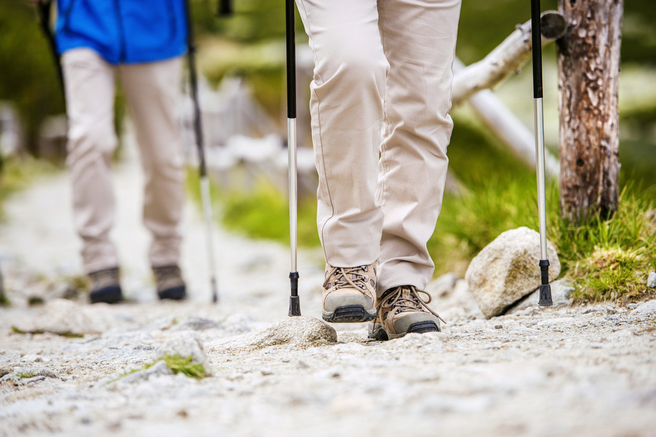 Das Ehepaar, Carola und Fritz Keppler, machte den sensationellen Fund beim Wandern (Symbolfoto).
