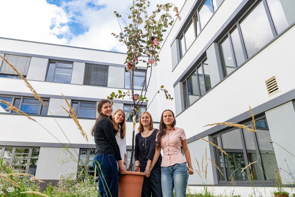 Matilda Sonntag (15, v.l.), Smilla Chwalczyk (15), Merle Rottmann (16) und Marita Hamann (15) von der "AG Nachhaltigkeit" setzen auf Grünpflanzen.