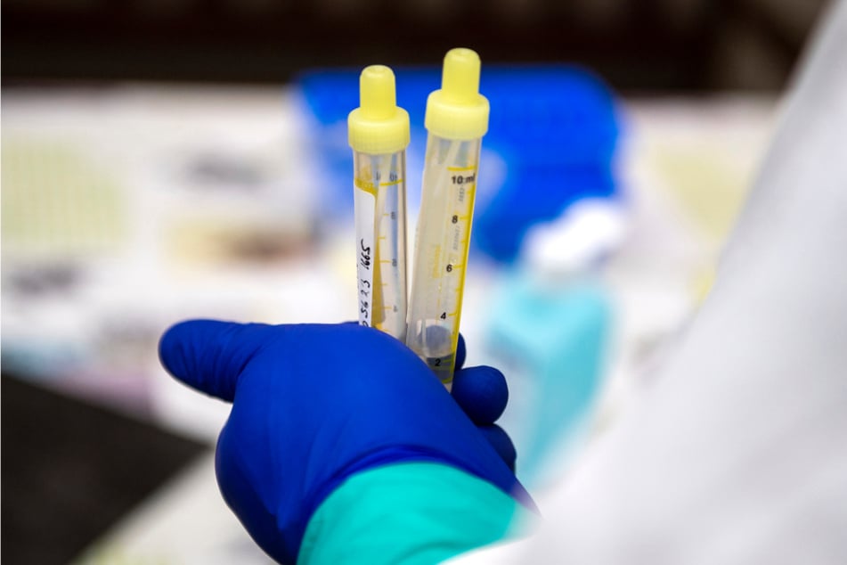 Ein Mitarbeiter des Gesundheitswesens hält zwei Kanülen mit Abstrichen von Corona-Tests in der Hand. (Symbolbild)