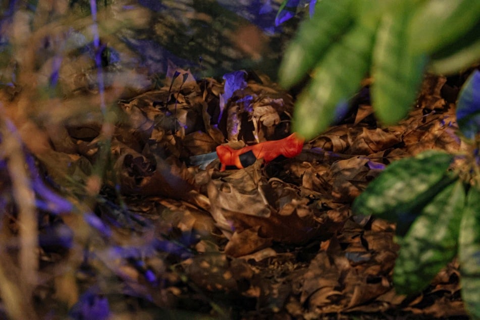 Die Beamten konnten das Messer in der Nähe im Gebüsch finden.