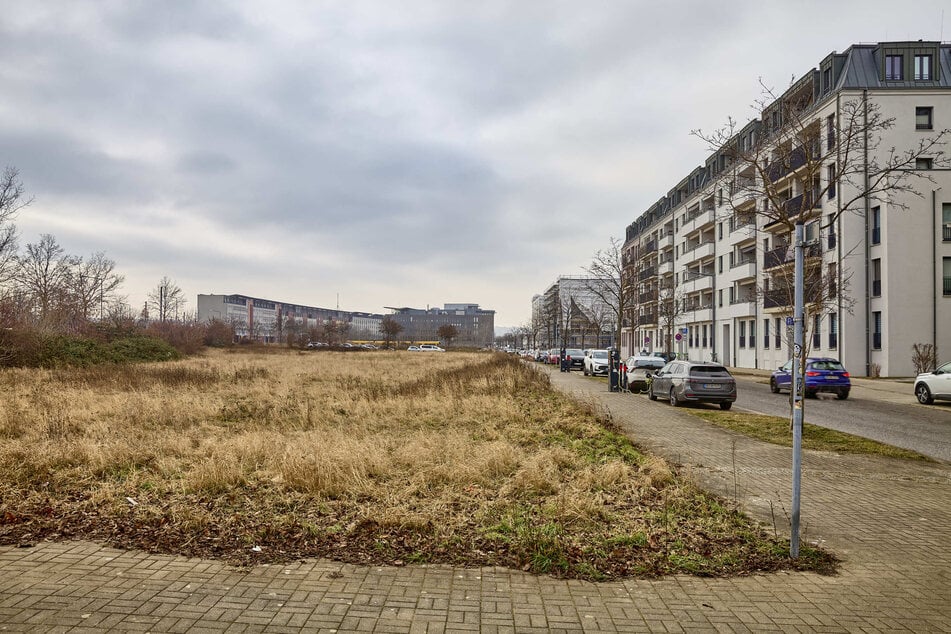 Die Planungen für ein Neubaugebiet in Mickten (An der Flutrinne, 2500 Wohnungen) kann durch vereinfachte Verfahren wesentlich beschleunigt werden.
