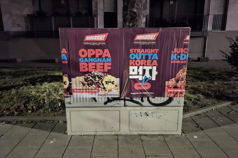 Auch dieser Verteilerkasten an der Freiberger Straße muss als Werbefläche herhalten.