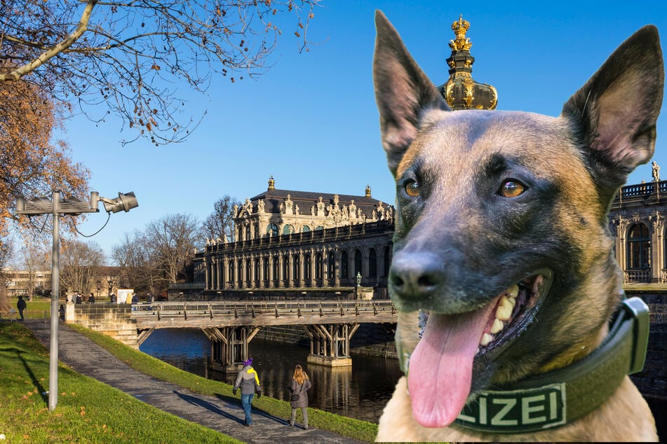 Dresden: Teenies berauben und verletzen 18-Jährigen: Polizeihund erschnüffelt Räuber-Duo