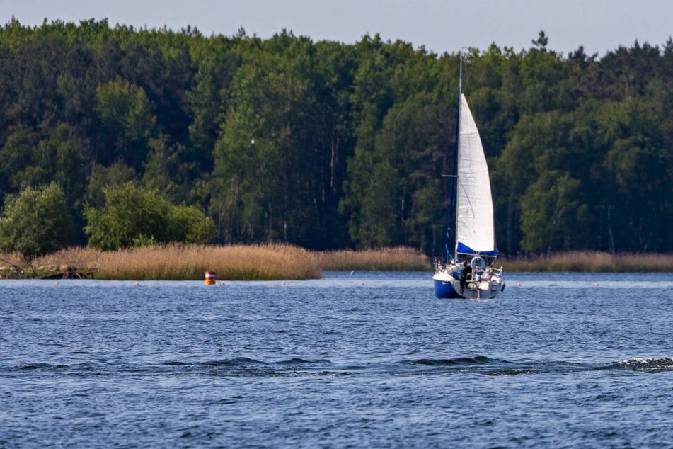 Am Mittwochvormittag ist ein Segelboot kieloben auf dem Senftenberger See getrieben. (Archivfoto)