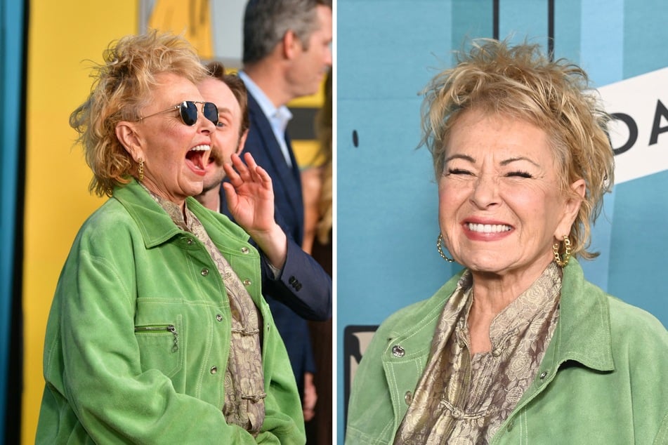 Roseanne Barr pitches wild MAGA sitcom with "guns, the Bible, petty crime, and alcoholism"