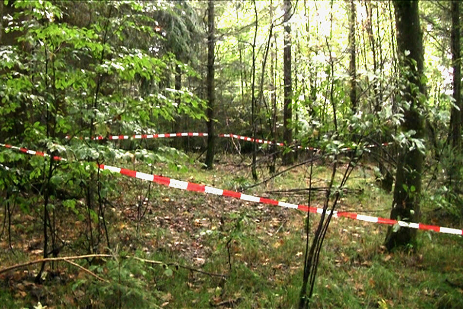 Pilzsammler fanden ihr Skelett: Wurde Maria Baumer von ihrem Verlobten ermordet?