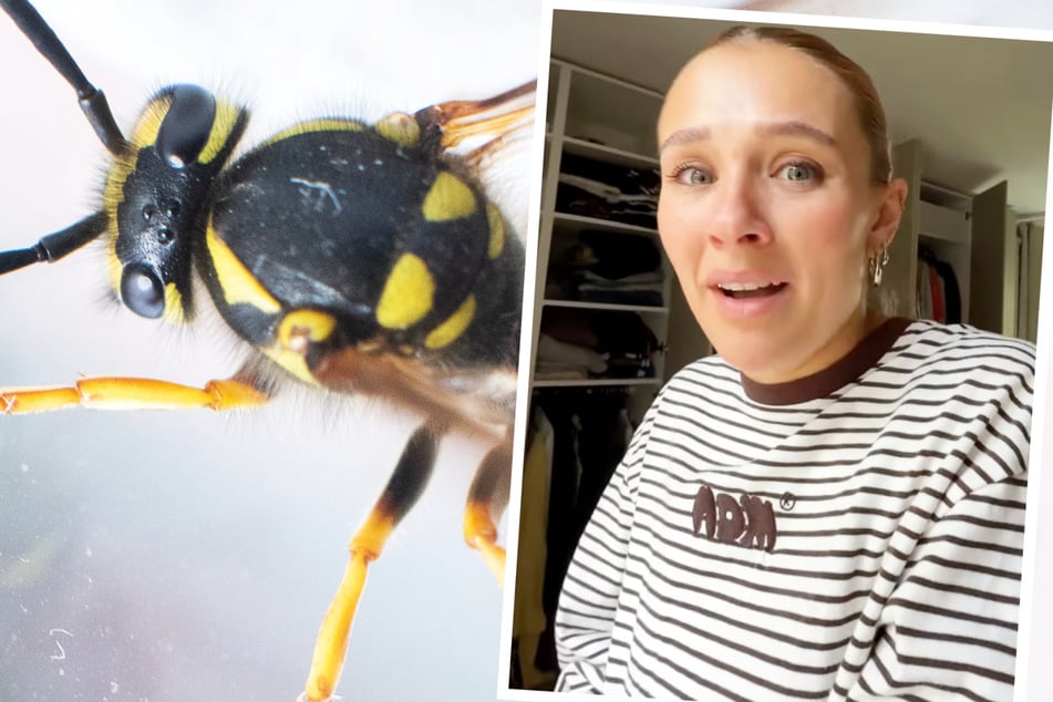 Influencerin Greta Engelfried außer sich: "Es kommen immer mehr Wespen in mein Zimmer!"