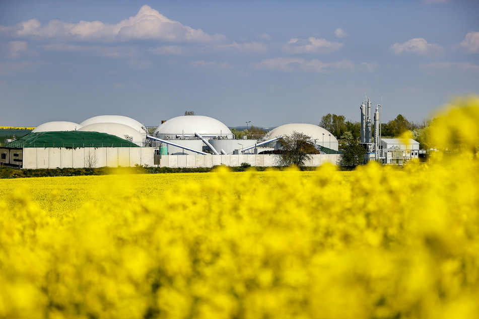 Biogasanlagen wie diese hier in Gordemitz in Sachsen versorgen bereits zahlreiche Haushalte mit biologisch produziertem Gas.