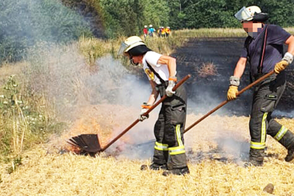 Zahlreiche Feuerwehrkräfte rückten aus, um die beiden Flächenbrände bei Biblis zu bekämpfen.