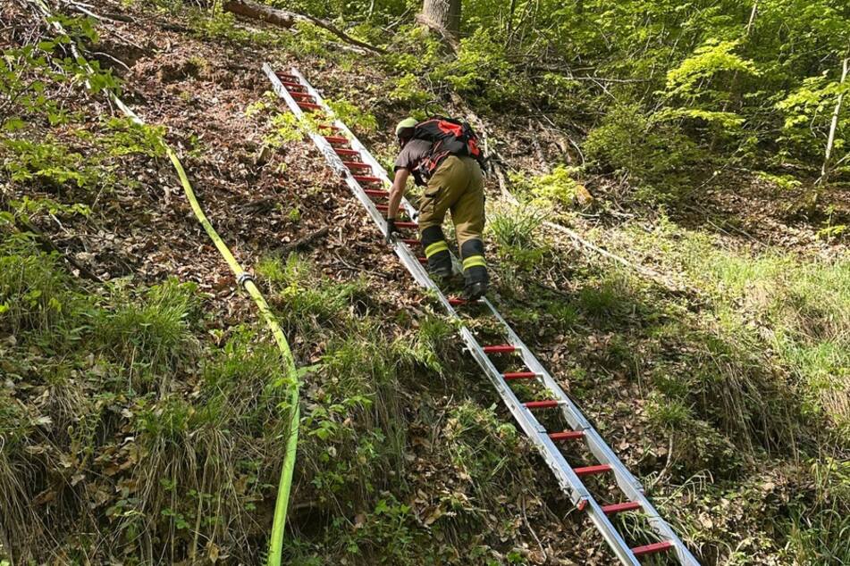 Leitern und spezielle Löschrucksäcke kamen wegen des steilen Hangs zum Einsatz.