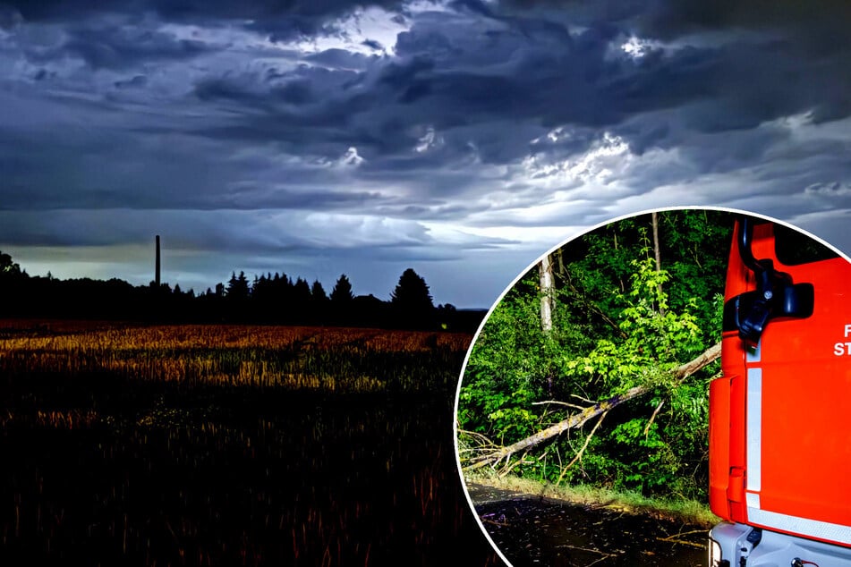 Bäume umgeknickt, Schlammlawine blockiert Straße: Unwetter ziehen über Sachsen