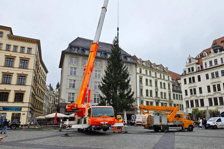 Mit schwerem Gerät rückte man an, um Leipzigs Weihnachtsbaum aufzustellen.