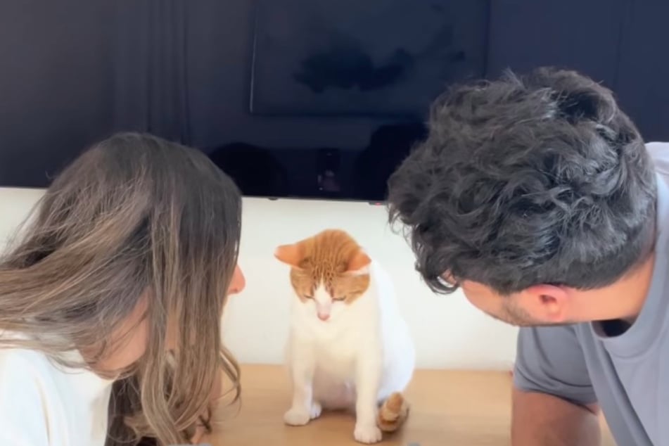 Ernüchternd: Als Fifi Furrha und ihr Mann Kareem Khalil zu Princess schauen, blickt diese geradezu beschämt nach unten.