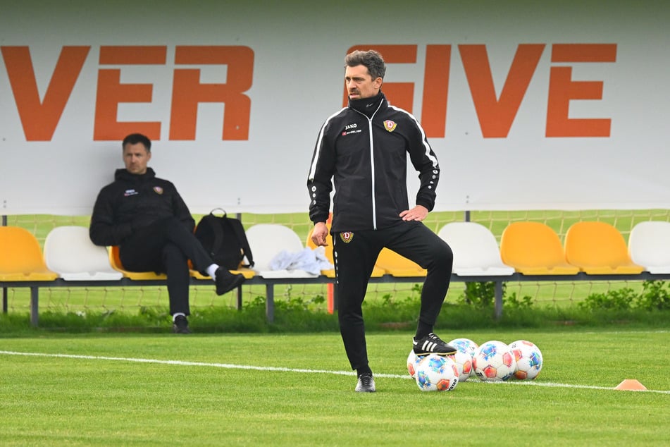 Dynamo-Chefcoach Thomas Stamm (43) kann gegen die Münsteraner aus den Vollen schöpfen.