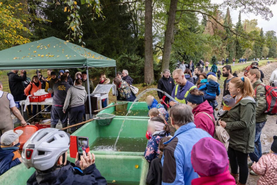 Rund 1500 Besucher kamen im vergangenen Jahr zur großen Abfisch-Fete.