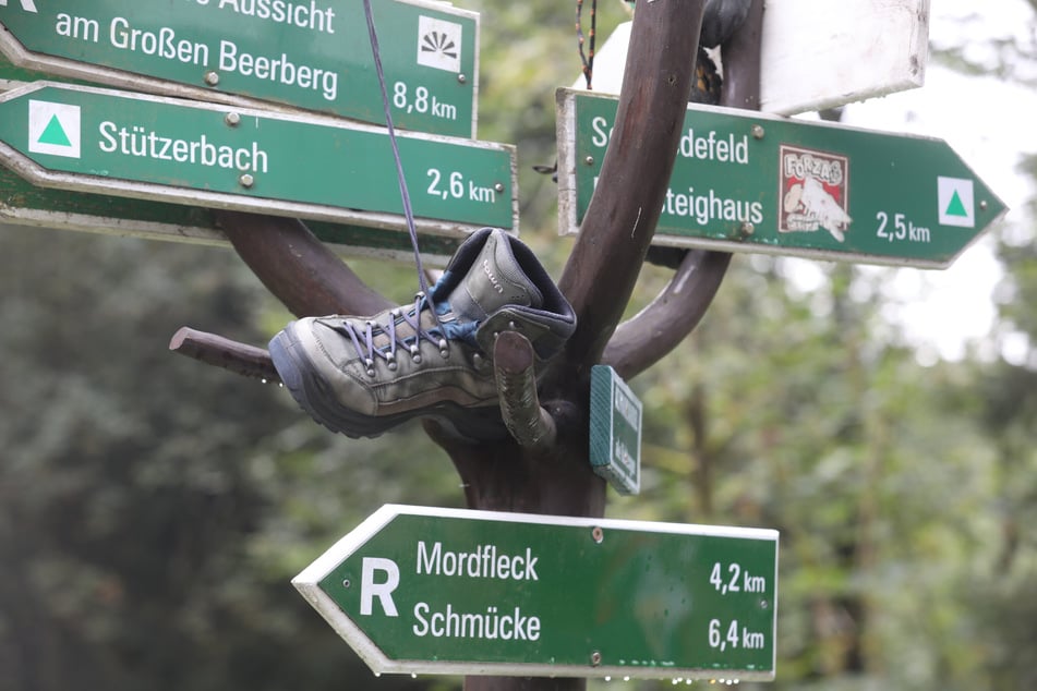 Kurzentschlossene haben zu Pfingsten im Thüringer Wald nur noch wenige Optionen auf einen Übernachtungsplatz. (Archivbild)