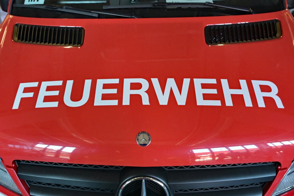 Tierische Einsätze sind für die Feuerwehr Bautzen immer etwas besonderes.