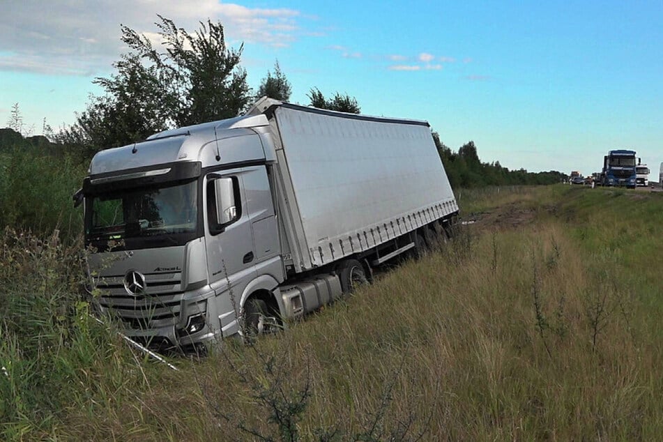 Der Lkw-Fahrer ist durch die tierische Ablenkung in einen angrenzenden Straßengraben gefahren.