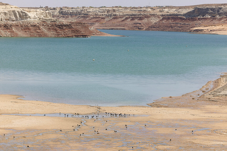 The megadrought in the US West has drained lakes like Lake Powell to dangerous levels.