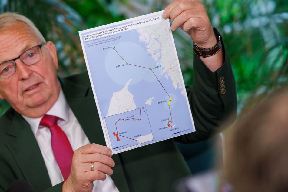 Eine Landkarte zeigt die Bewegungslinien des Tiers, sodass sich nachzeichnen lässt, welche Route der Wal durchs Meer genommen hat.