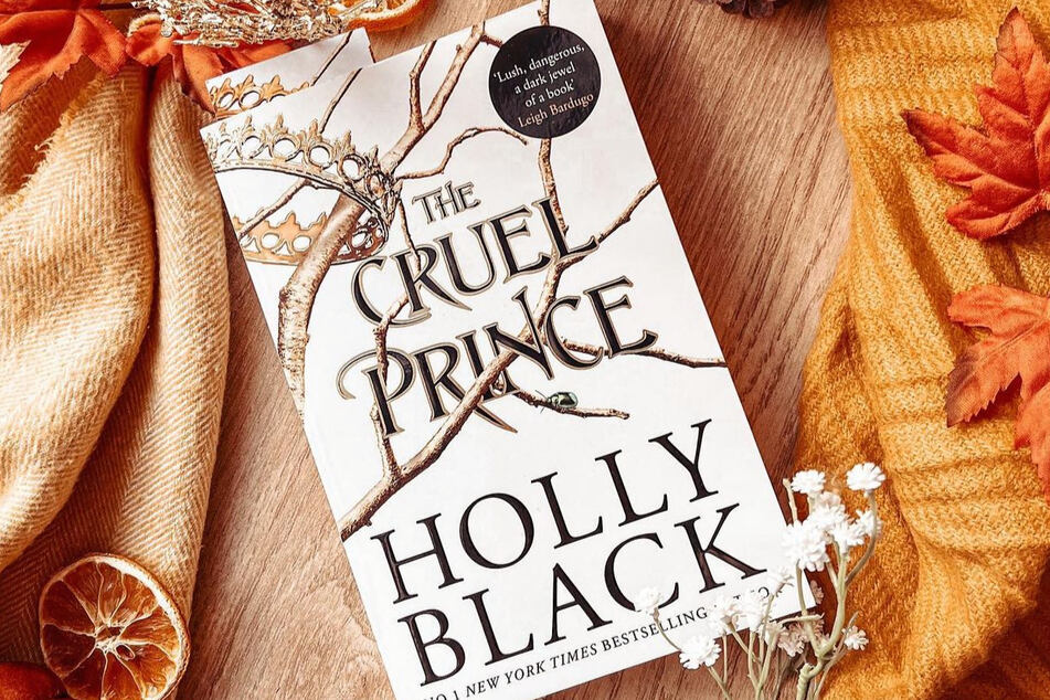The Cruel Prince by Holly Black is a favorite BookTok fantasy read.