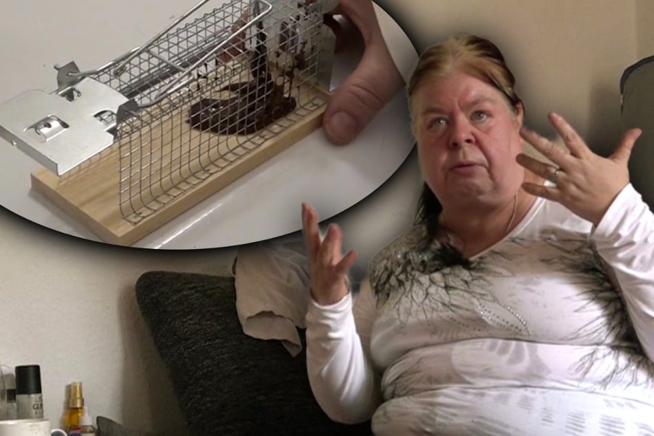 Ekel-Alarm in Pamelas Plattenbau-Bude: "Angst, dass es keene Maus ist, sondern 'ne Ratte"