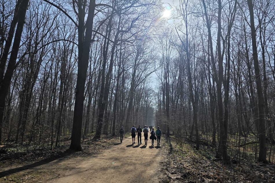 Viel besser hätte das Wetter am Samstag für den Mammutmarsch eigentlich nicht sein können.