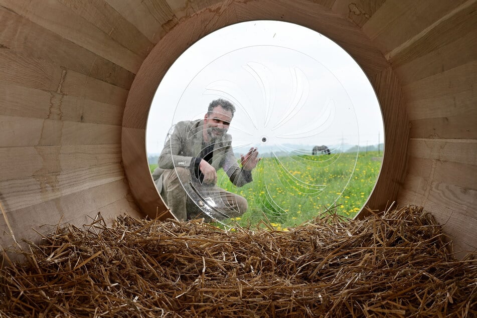 Auf Stroh gebettet schauen die Schläfer aus der Tonne auf die Pferdekoppel.