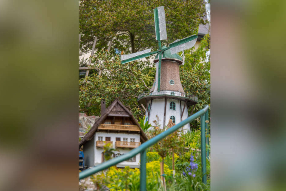 Windmühlen haben es dem Rentner besonders angetan - das ist die Windmühle von Potsdam.