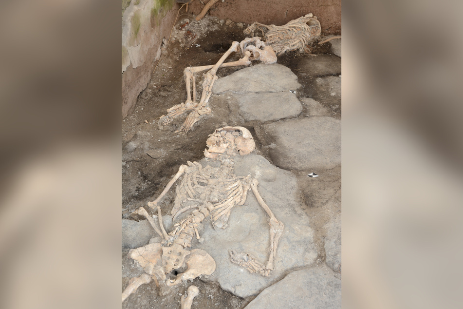 Die liegende Position der Skelette lässt laut Forschern darauf schließen, dass sie von Wänden und Decken eines eingestürzten Hauses erdrückt wurden.