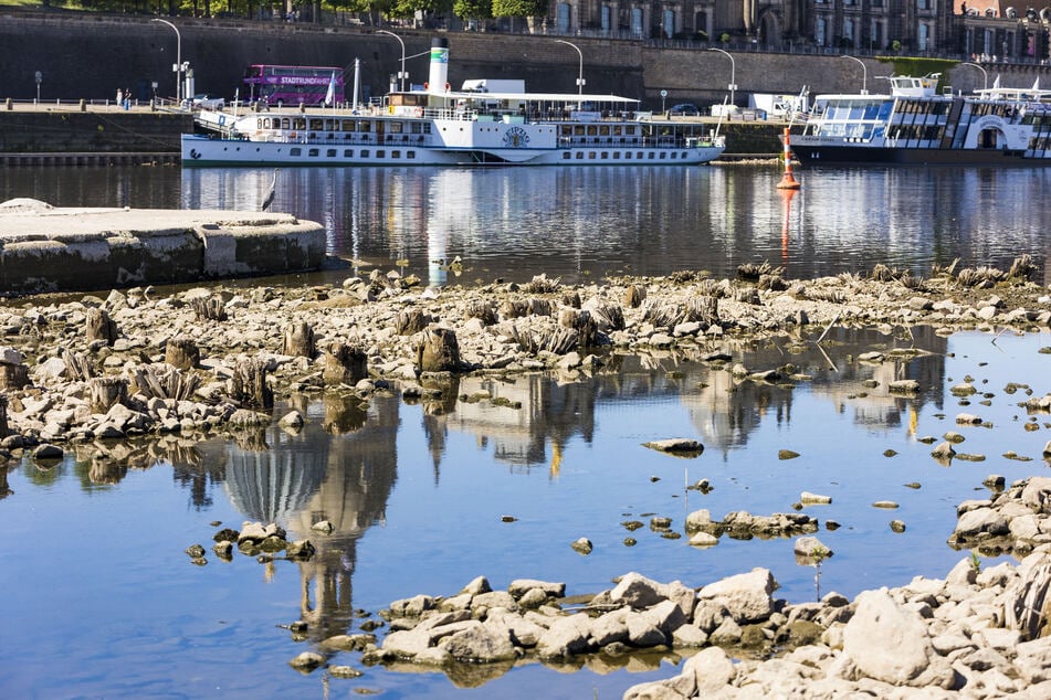 Bereits Ende Mai kämpften die Schiffe mit Niedrigwasser.