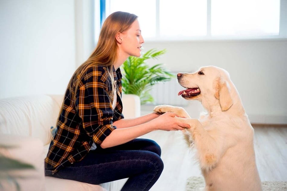 Ein kurzer Test zeigt, ob man die Bindung zwischen Hund und Mensch noch stärken muss.