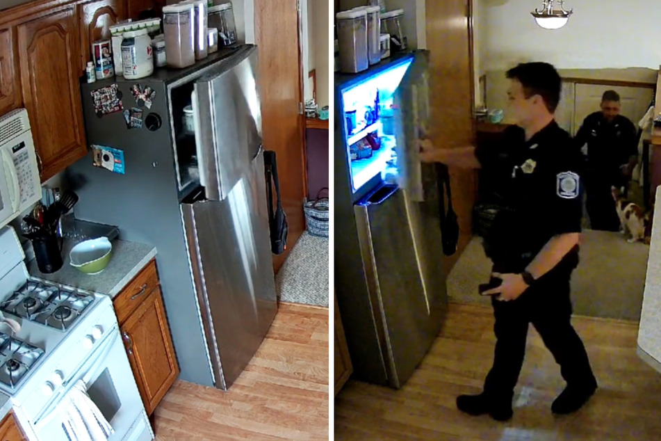 The cops came in, closed the freezer, and tried to pet the cat.