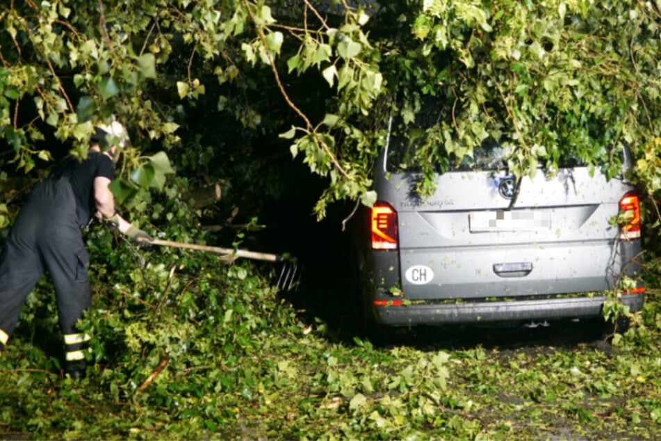VW-Bus wird unter umstürzendem Baum begraben: Familie eingeschlossen!
