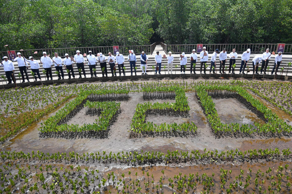 Leaders of the G20 and international organization representatives lift their hoes after planting mangroves during the G20 Indonesia Summit.