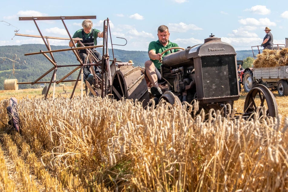 Bulldog-Freunde zeigen, wie Landwirtschaft früher ging: Ernten wie vor 100 Jahren