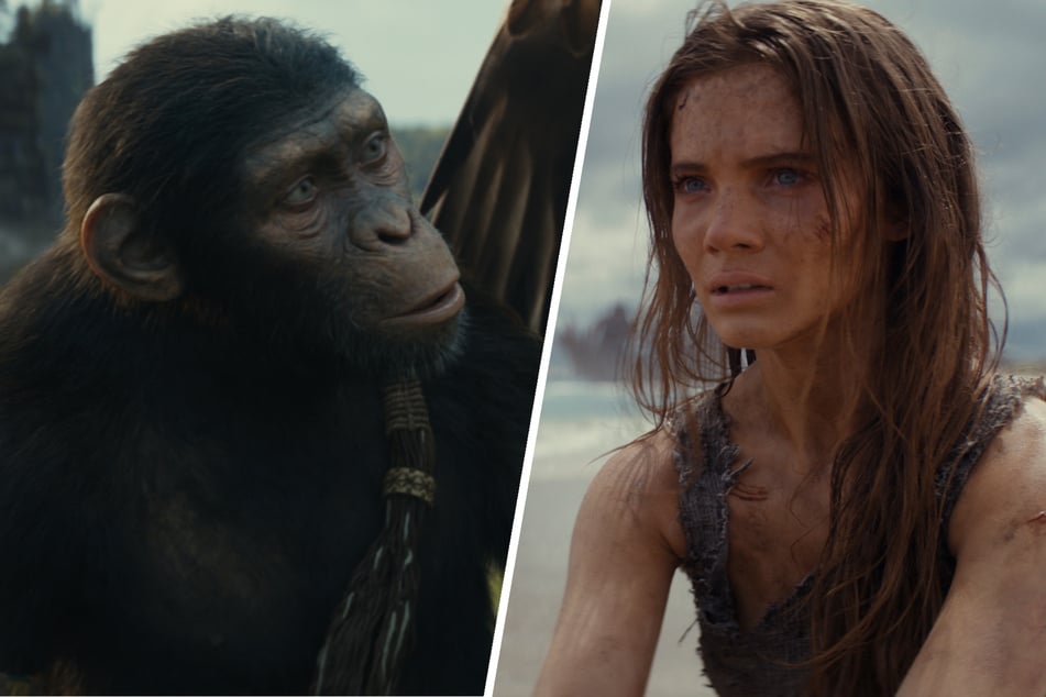 Lohnt sich ein Kinobesuch für "Planet der Affen: New Kingdom"?
