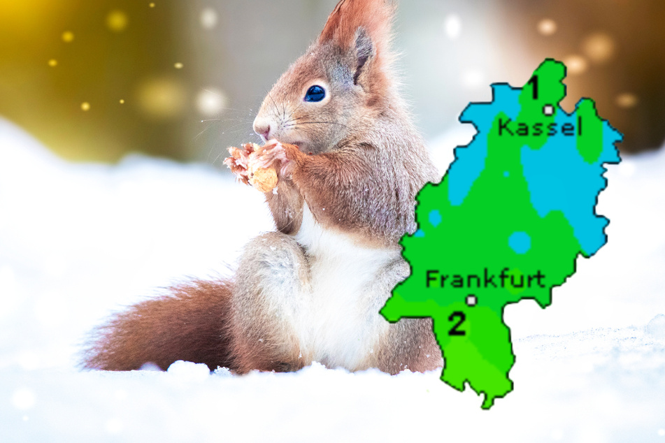 Am Samstag könnte es in einigen Teilen von Hessen eventuell sogar schneien: Wetteronline.de (Grafik) kündigt für diesen Tag Höchsttemperaturen zwischen 2 und 1 Grad an, die Prognose des Deutschen Wetterdienstes geht von etwas höheren Temperaturen aus (1 bis 4 Grad).