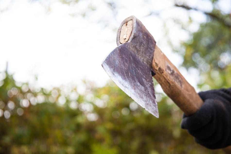 Obdachlose fällen vier Meter hohe Tanne auf ehemaligem Kindergarten-Gelände