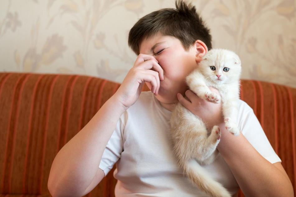 You may not believe it, but even the smallest kittens can let rip.