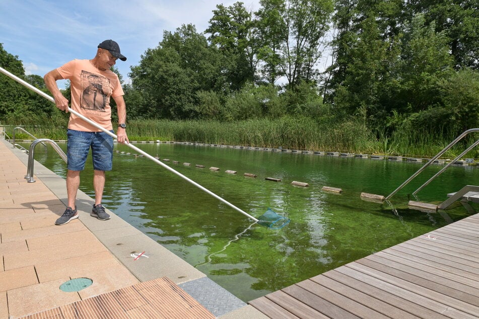 Betriebsleiter Uwe Kloß (64) und sein Team versuchen schnellstmöglich, das Zschonergrundbad wieder auf Vordermann zu bringen.