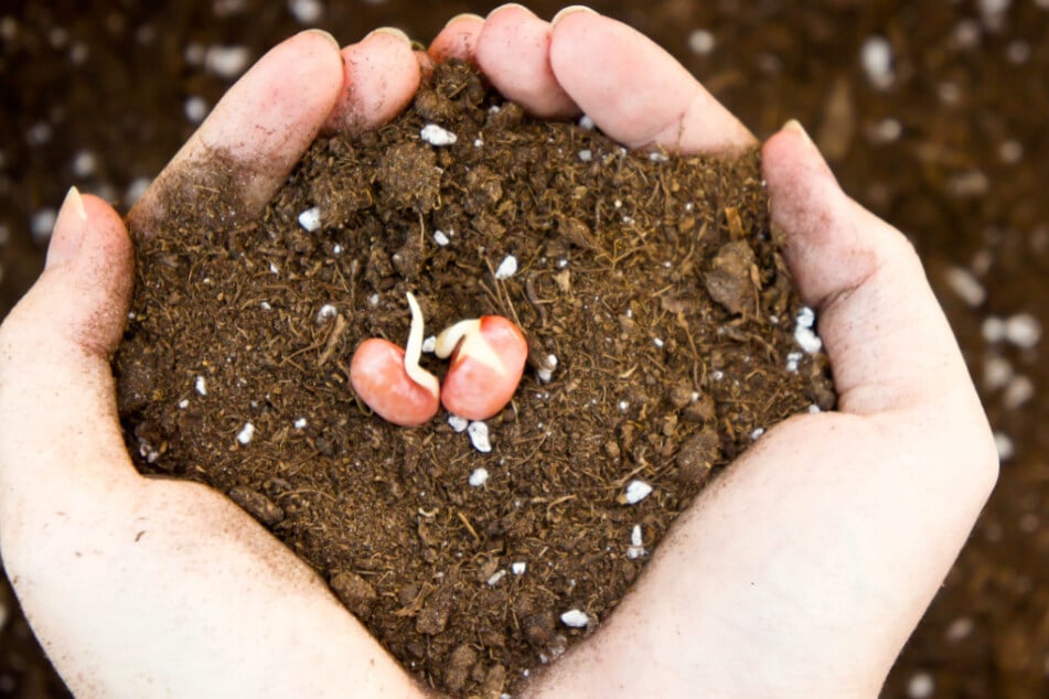 Ganz nah an die Natur könnt Ihr in der Tierparkschule kommen. (Symbolbild)