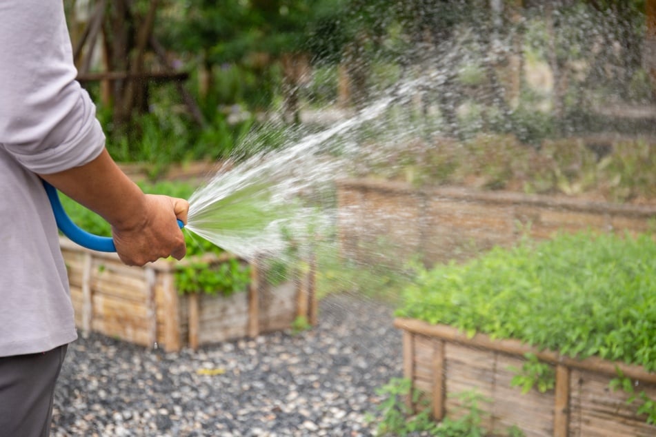 Bei der Gartenarbeit im Mai sollte man das Bewässern nicht vergessen.