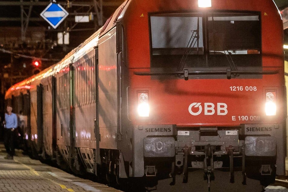 Die Österreichischen Bundesbahnen (ÖBB) in Wien bekämpfen derzeit ein Läuseproblem. Die Tiere werden von einem Fahrgast in die Züge eingeschleppt. (Archivbild)