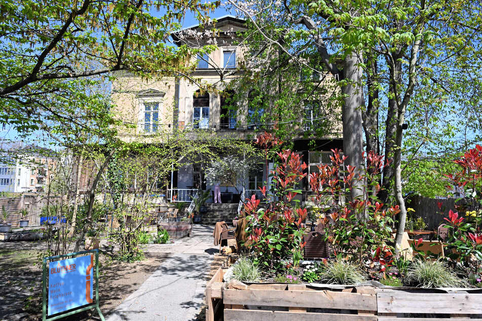 Das Weincafé am Stadthafen ist in die Blüthner-Villa eingezogen.