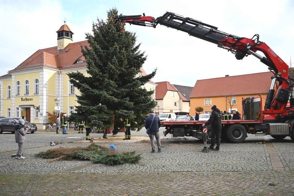 Mit jeder Menge Fingerspitzengefühl sowie tatkräftiger Unterstützung wurde am Samstag der Weihnachtsbaum in Liebertwolkwitz aufgebaut.