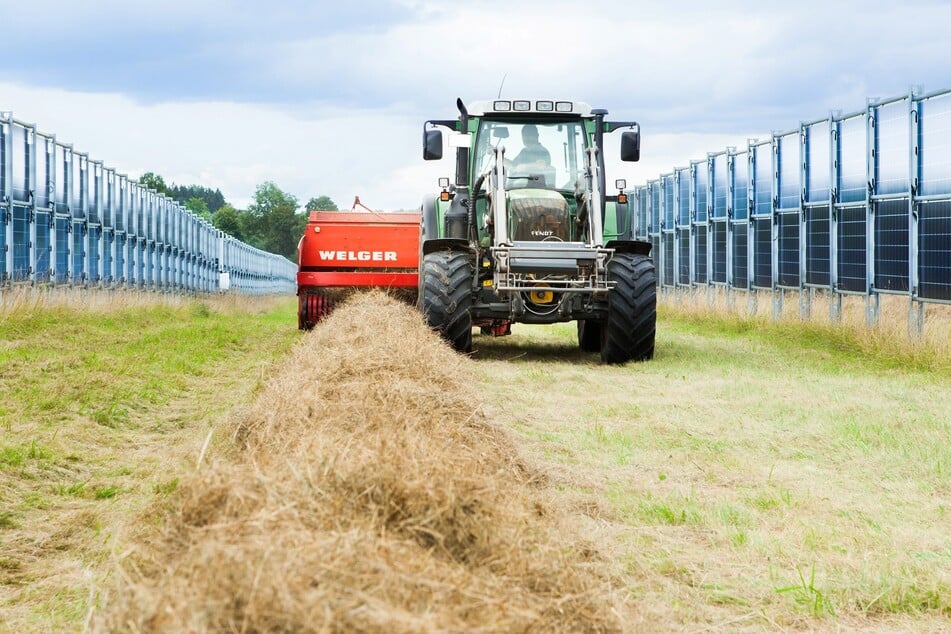 Ein Traktor fährt an vertikalen Solarpanelen vorbei - so soll es auch in Adorf aussehen.